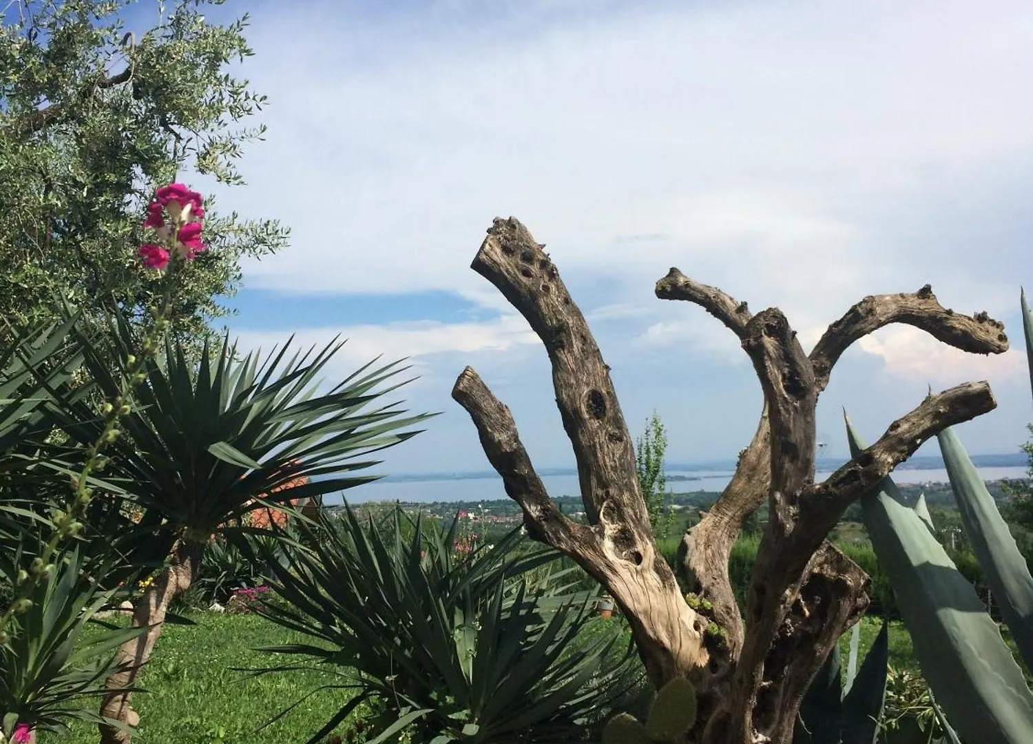 Apartment Wohnung Mit Blick Auf Den Gardasee Castello